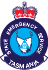 SES